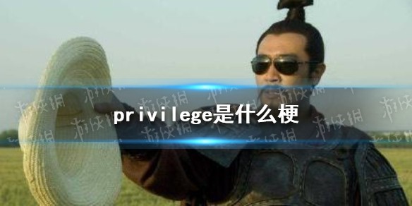 privilege是什么梗