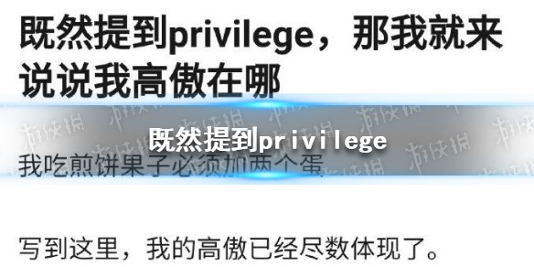 privilege是什么意思