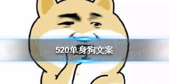 520单身狗文案 520单身狗微信朋友圈心情说说大全