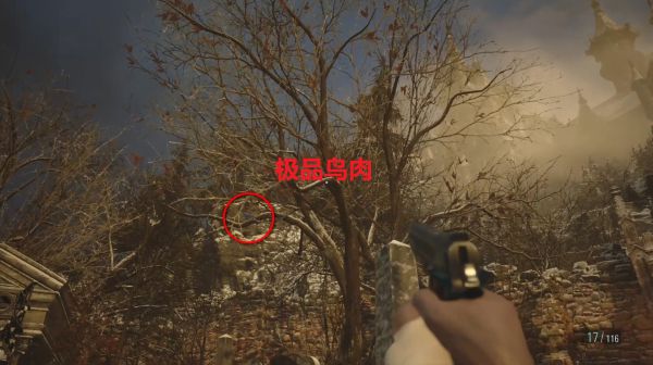 《生化危机8》高级肉类素材在哪里获取
