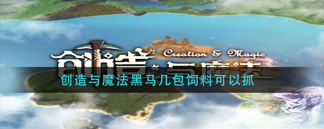 《创造与魔法》黑马抓取方法