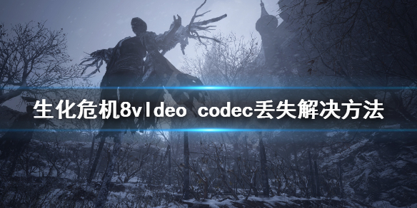 《生化危机8》vldeo codec找不到怎么办？vldeo codec丢失解决方法