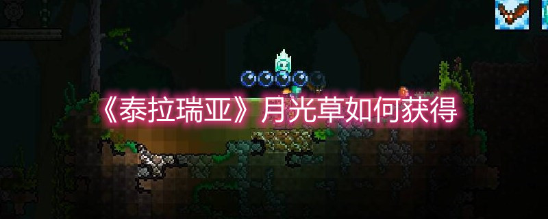 《泰拉瑞亚》月光草如何获得
