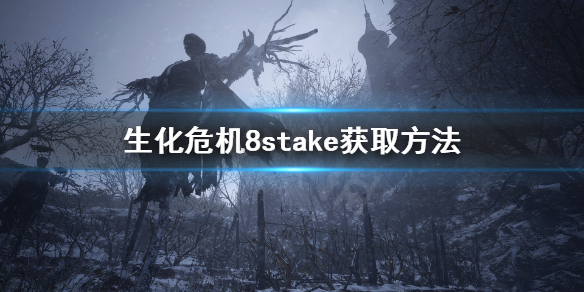 《生化危机8》stake怎么获得？stake获取方法
