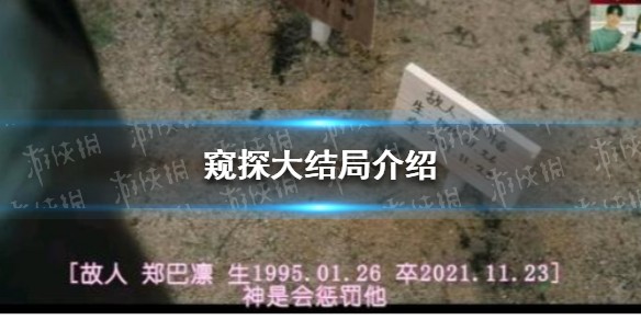 窥探大结局介绍
