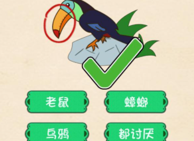 全民烧脑第17关攻略