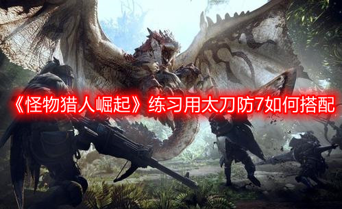 《怪物猎人崛起》练习用太刀防7如何搭配