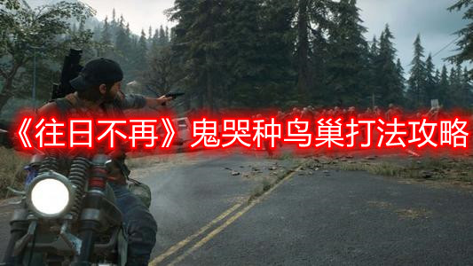 《往日不再》鬼哭种鸟巢打法攻略