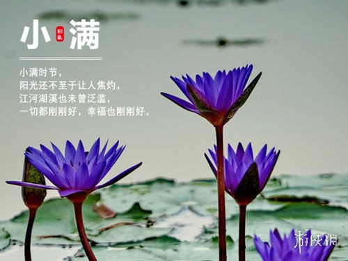 超能街机5