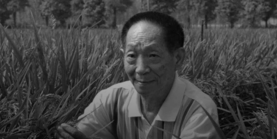 最新消息！“杂交水稻之父”袁隆平逝世，享年91岁
