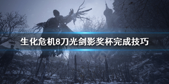 《生化危机8》刀光剑影怎么玩？刀光剑影奖杯完成技巧