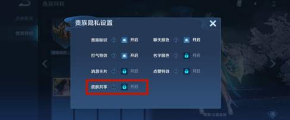 《王者荣耀》共享皮肤攻略