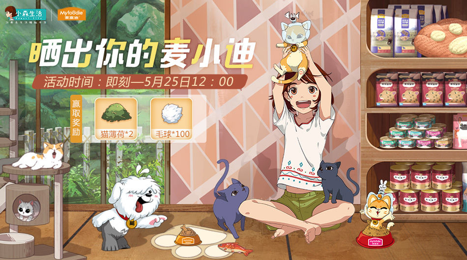 《小森生活》麦小迪的领取方法介绍