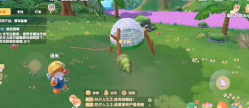 《摩尔庄园》手游怎么抓螳螂