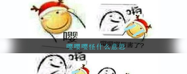 嘤嘤嘤怪是什么意思