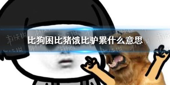 比狗困比猪饿比驴累是什么梗