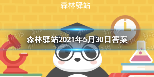 黑叶猴通常从身上的哪个部位开始变黑 森林驿站2021年5月30日答案