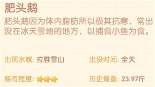 摩尔庄园手游肥头鹅价值怎么样
