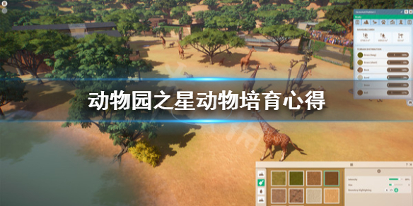 《动物园之星》怎么培育动物？动物培育心得