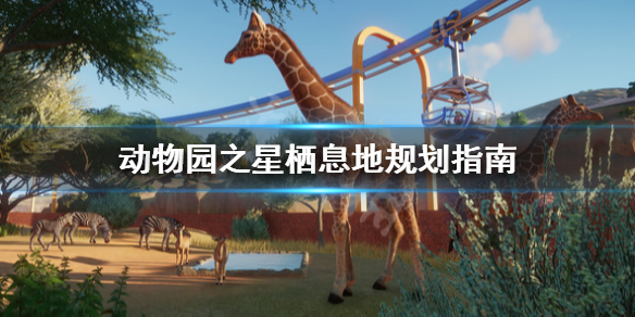 《动物园之星》栖息地怎么安排？栖息地规划指南