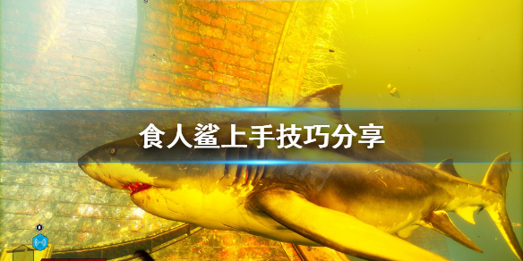 《食人鲨》怎么上手？上手技巧分享