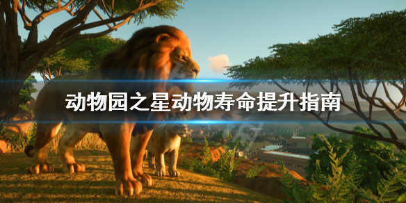 《动物园之星》动物寿命怎么提升？动物寿命提升指南