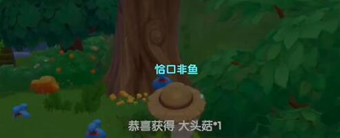 摩尔庄园手游大头菇在哪采集