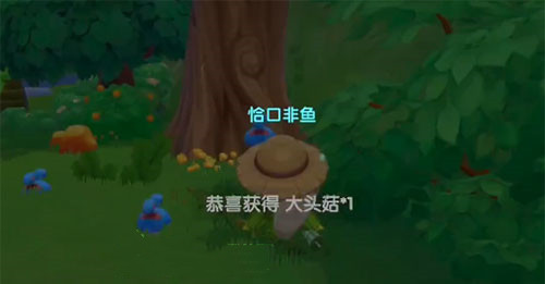 《摩尔庄园手游》大头菇位置介绍