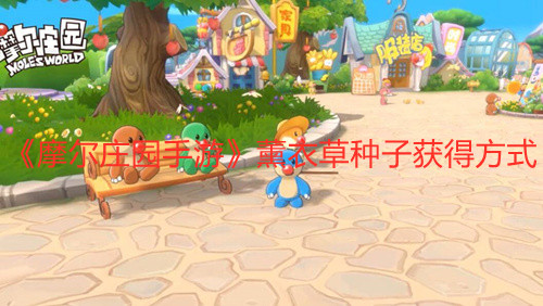 《摩尔庄园手游》薰衣草种子获得方式