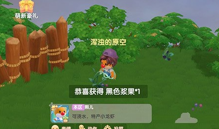 《摩尔庄园》手游黑色浆果在哪