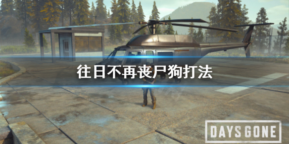 《往日不再》狼怎么应对？丧尸狗打法