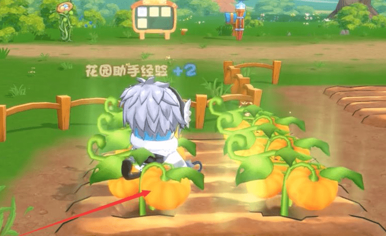 《摩尔庄园》手游南瓜有什么用