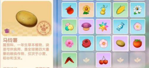 《摩尔庄园手游》植物作用解析