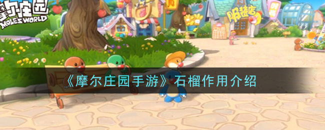 《摩尔庄园手游》石榴作用讲解