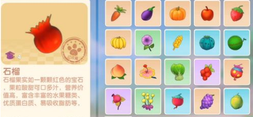 《摩尔庄园》手游石榴有什么用
