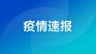 31省份新增33例确诊 其中本土19例
