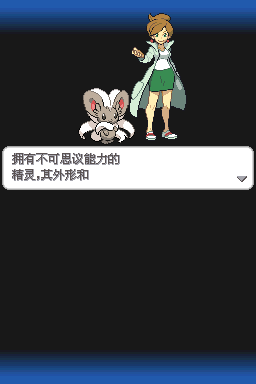 口袋妖怪黑2中文版