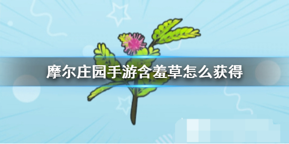 《摩尔庄园手游》含羞草怎么获得 含羞草获得方法