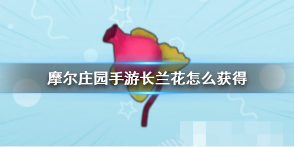 《摩尔庄园手游》长兰花怎么获得 长兰花获得方法