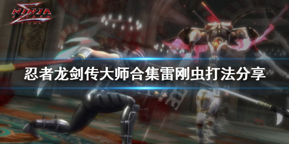 《忍者龙剑传大师合集》第二章神魔战怎么打？雷刚虫打法分享