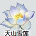 《江湖悠悠》天山雪莲作用一览