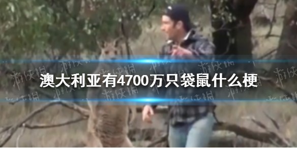 澳大利亚有4700万只袋鼠什么梗