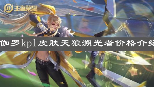 《王者荣耀》伽罗kpl皮肤天狼溯光者价格介绍