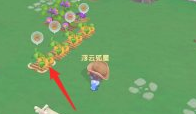 《摩尔庄园》南瓜怎么种