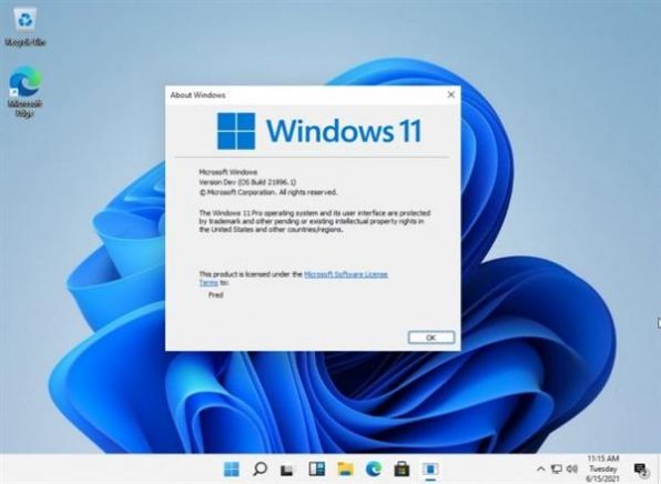 Windows11模拟器安卓版