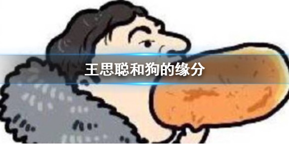 思聪和狗的缘分是什么梗