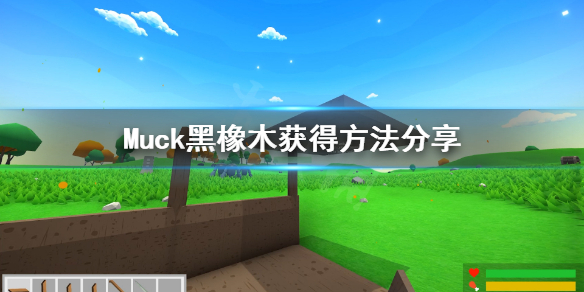 《Muck》黑橡木怎么得？黑橡木获得方法分享