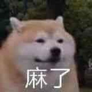 书无砸懂是什么梗