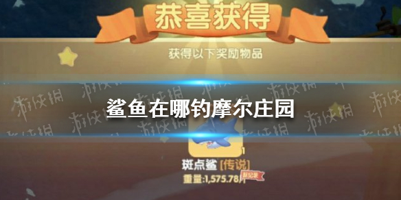 鲨鱼在哪钓摩尔庄园 《摩尔庄园》鲨鱼获取攻略