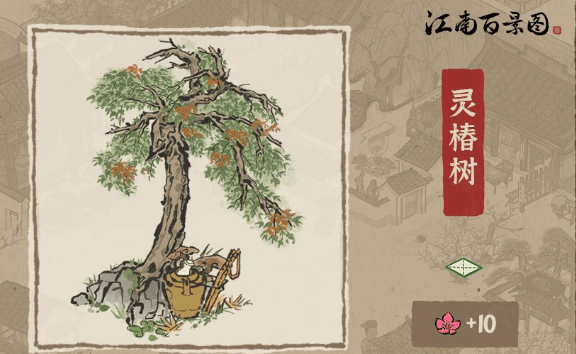 《江南百景图》灵椿树如何获得